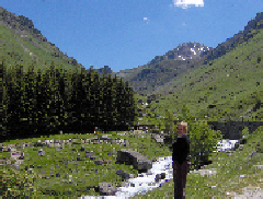 themountainsinsummer.jpg